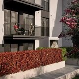 Mosilor apartament 3 camere Icon Garden